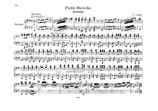 Merry Fellows: Overture for piano four hands by Franz von Suppé