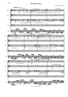 The Quiet Way: For string quartet and guitar by David W Solomons