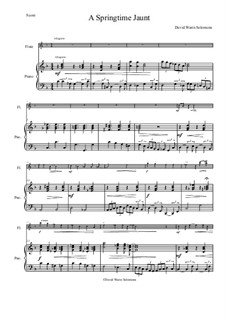 A Springtime Jaunt: For flute and piano by David W Solomons