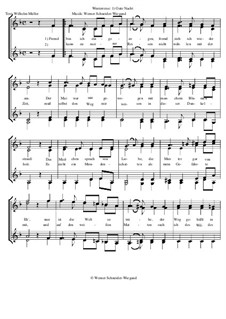 Winterreise, Nr.1-43, Op.23: Nr.29 Gute Nacht by Werner Schneider-Wiegand