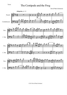 The centipede and the frog: For piccolo and contrabassoon by David W Solomons