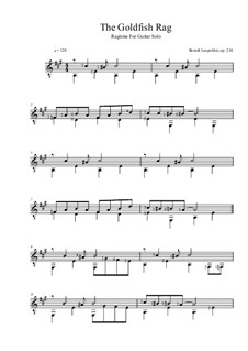 The Goldfish Rag, Op.234: The Goldfish Rag by Berndt Leopolder