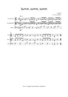 Summ, summ, summ: Für Trio Trompete, Trompete und Posaune, Op.03013 by folklore