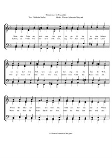 Winterreise, Nr.1-43, Op.23: Nr.32 Wasserflut by Werner Schneider-Wiegand