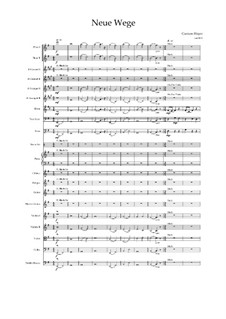 New ways - symphonic orchestral work with acoustic E. guitar, drums, percussion, piano, wood and brass and strings: Score, Op.04061 by Carmen Hoyer