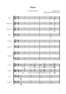 Walzer, Op.27: Walzer by Irina Savankova