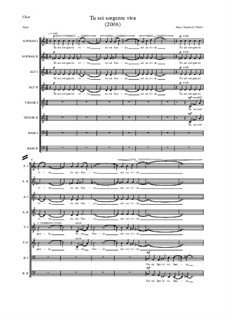 Tu sei sorgente viva -  für Kammerchor (und Streichquintett obligat ad libitum) 2006: Tu sei sorgente viva -  für Kammerchor (und Streichquintett obligat ad libitum) 2006 by Marc Neufeld