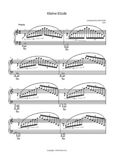 Kleine Etüde: Kleine Etüde by Dirk Ettelt