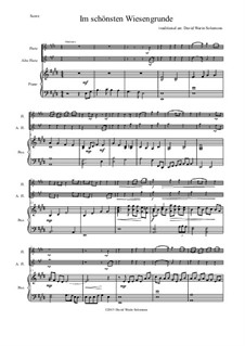 Five German Folk Songs: Im schönsten Wiesengrunde, for flute, alto flute and piano by folklore