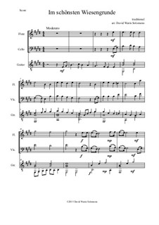 Five German Folk Songs: Im schönsten Wiesengrunde, for flute, cello and guitar by folklore