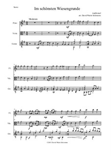 Five German Folk Songs: Im schönsten Wiesengrunde, for flute, viola and guitar by folklore