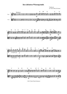 Five German Folk Songs: Im schönsten Wiesengrunde, for flute, viola and guitar-chords by folklore