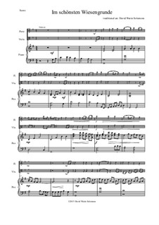 Five German Folk Songs: Im schönsten Wiesengrunde, for flute, viola and piano by folklore