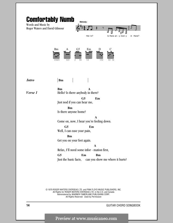 Comfortably Numb (Pink Floyd): Lyrics and chords by David Gilmour, Roger Waters