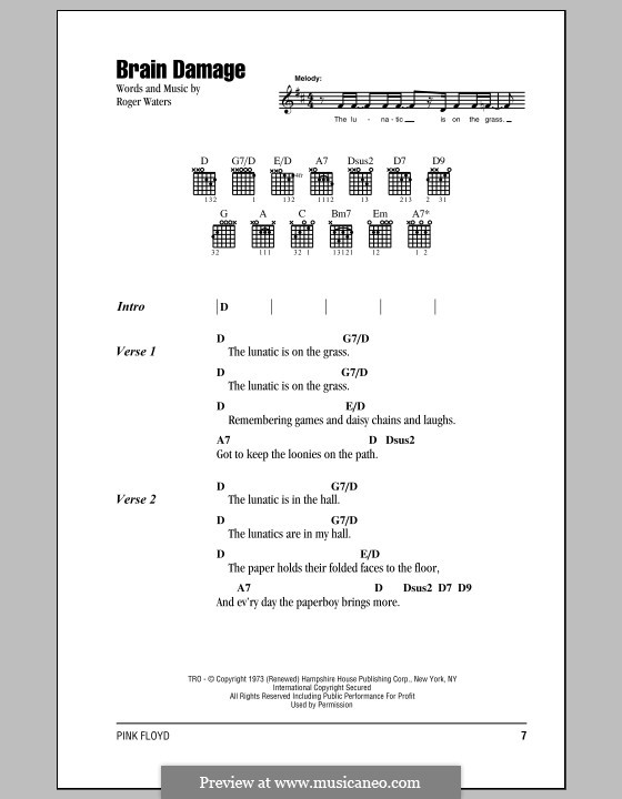 Brain Damage (Pink Floyd) by R. Waters sheet music on MusicaNeo