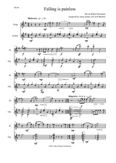 Falling is painless: For flute and guitar by David W Solomons