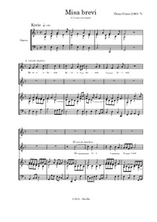 Small Mass: Small Mass by Oscar Grau