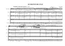 Silence for Bass clarinet and Stringquartet, MVWV 1042: Silence for Bass clarinet and Stringquartet by Maurice Verheul
