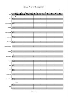 Etude 1 Pour Orchestre: Etude 1 Pour Orchestre by Stephane Boussuge