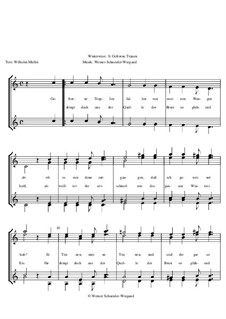 Winterreise, Nr.1-43, Op.23: Nr.34 Gefrorne Tränen by Werner Schneider-Wiegand