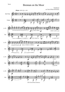 Brennan on the Moor: For alto flute and guitar by folklore