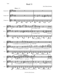 Reed 11: For E flat, B flat and A clarinets by David W Solomons