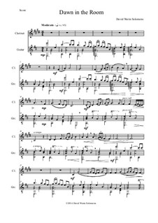 Dawn in the Room: For clarinet and guitar by David W Solomons