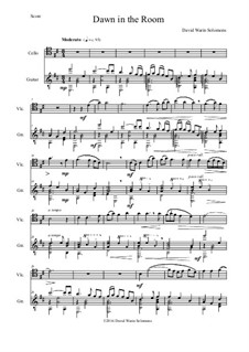 Dawn in the Room: For cello and guitar by David W Solomons