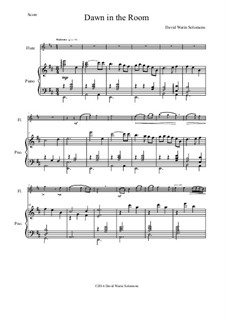 Dawn in the Room: For flute and piano by David W Solomons