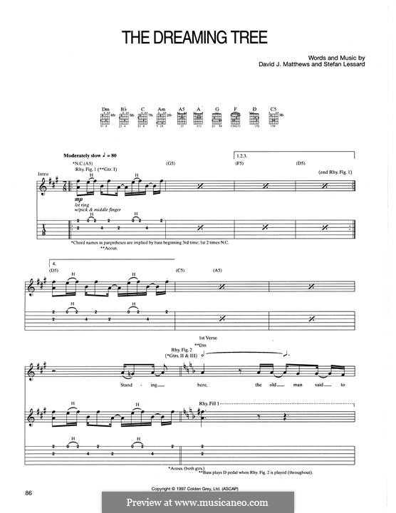 The Dreaming Tree: For guitar with tab by David J. Matthews, Stefan Lessard