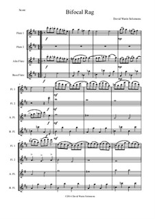 Bifocal Rag: For flute quartet (2 flutes, 1 alto flute, 1 bass flute) by David W Solomons