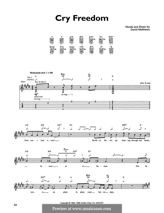 Cry Freedom: For guitar with tab by David J. Matthews