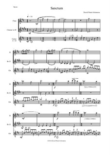 Sanctum: For flute, clarinet and guitar by David W Solomons