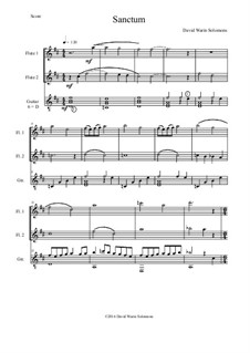 Sanctum: For two flutes and guitar by David W Solomons