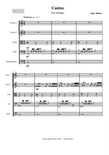 Cantus for string orchestra: Score by Hans Bakker