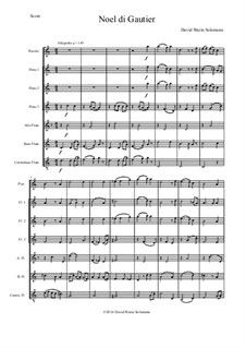 Noel di Gautier: For flute choir by David W Solomons