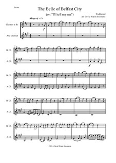 Belle of Belfast City (I'll tell my ma): For clarinet and alto clarinet by folklore