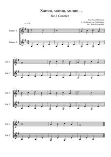 Summ, summ, summ: For two guitars (very easy version) G Major by folklore