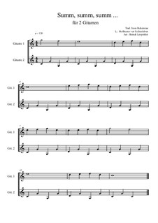 Summ, summ, summ: For two guitars (very easy version) C Major by folklore