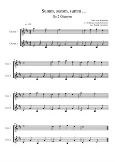 Summ, summ, summ: For two guitars (very easy version) D Major by folklore