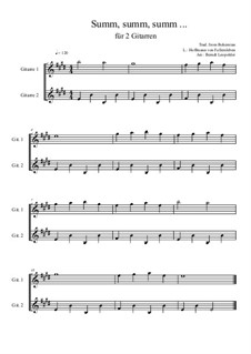 Summ, summ, summ: For two guitars (very easy version) E Major by folklore