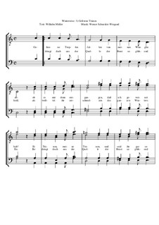 Winterreise, Nr.1-43, Op.23: Nr.35 Gefrorne Tränen by Werner Schneider-Wiegand