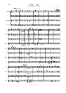 Jellicle Catgut: For flute quartet by David W Solomons
