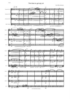 Not time to get up yet: For clarinet quartet (3 B flats, 1 Bass) by David W Solomons