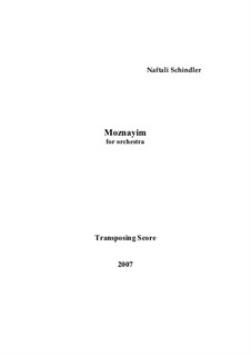 Moznayim: Moznayim by Naftali Schindler