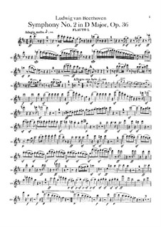 Complete set: Flutes parts by Ludwig van Beethoven