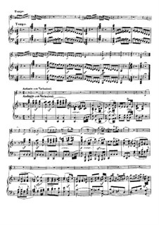Sonata for Violin and Piano No.9 'Kreutzer', Op.47: Movement II by Ludwig van Beethoven