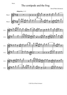 The centipede and the frog: For flute duo by David W Solomons