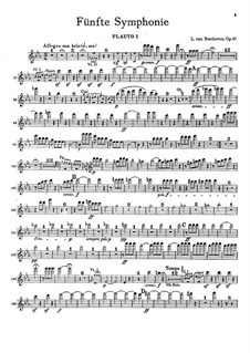 Complete Symphony: Flutes parts by Ludwig van Beethoven