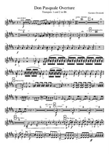オペラ　ヴォーカルスコア　DON PASQUALE Donizetti: Don Pasquale Overture (Score) - YouTube